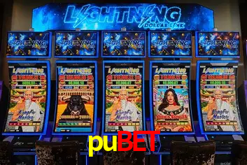 Descubra a Essência do pubet: Nossa História e Compromissos