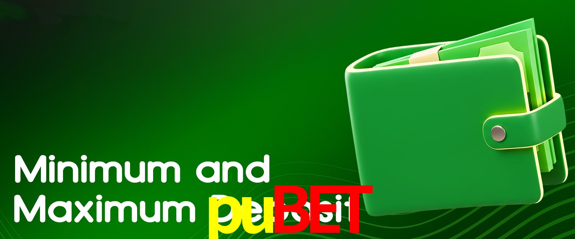 pubet Brasília - Security